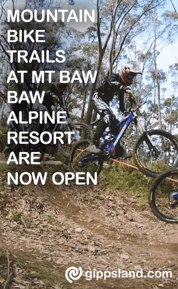 Mountain bike trails at Mt Baw Baw Alpine Resort are now open